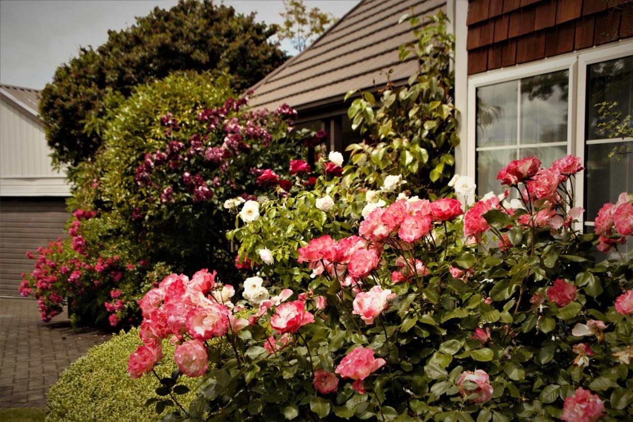 The Loft Bed And Breakfast Taupo Eksteriør billede